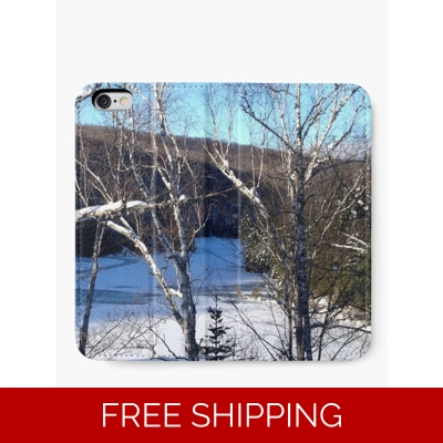 Le Studio Iphone Wallet Lake Perry Winter 2019 from Roof Top